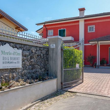 Merlo D'Oro Carrara Eksteriør billede
