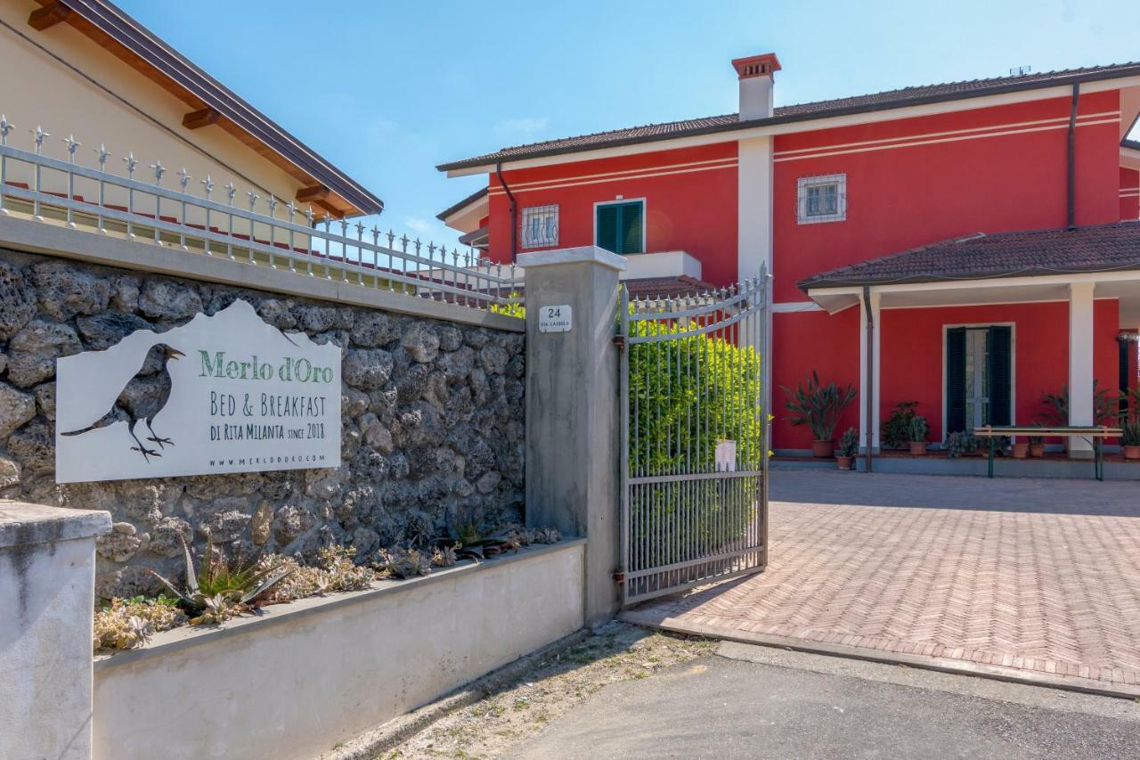 Merlo D'Oro Carrara Eksteriør billede